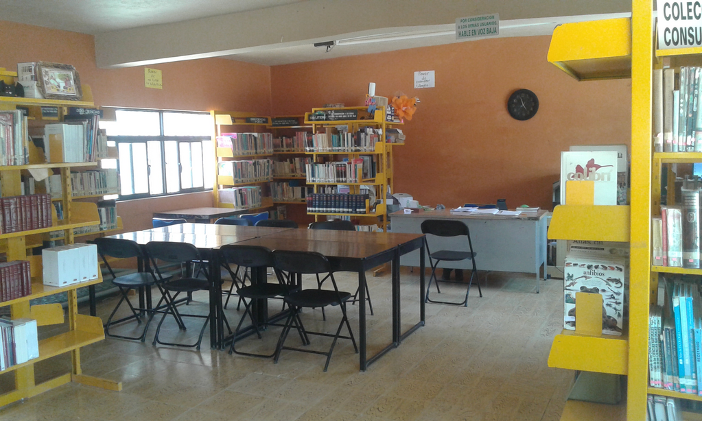 imagen3