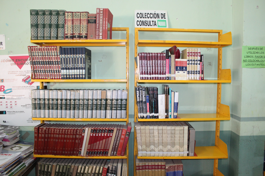 imagen3