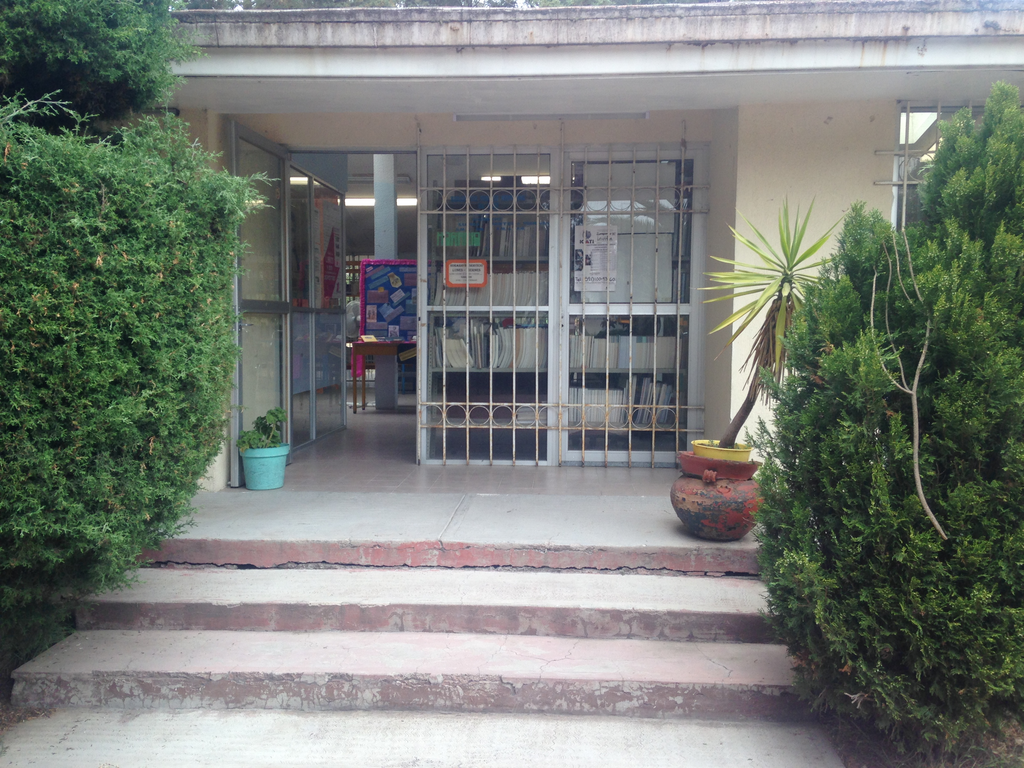 imagen3