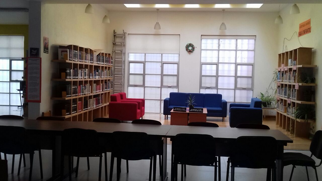 imagen1