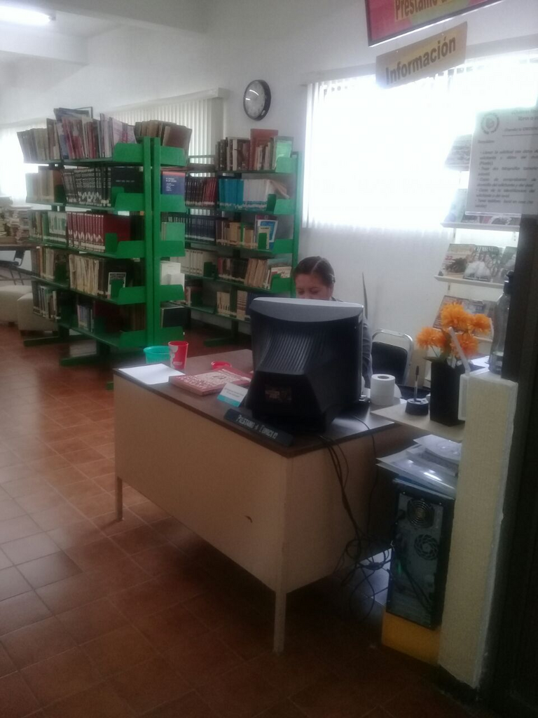 imagen3