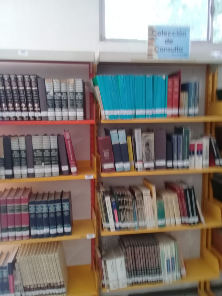 imagen2