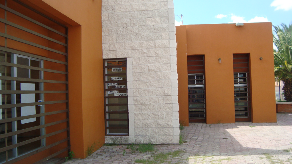 imagen1