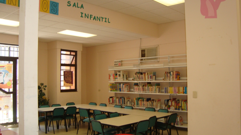 imagen1