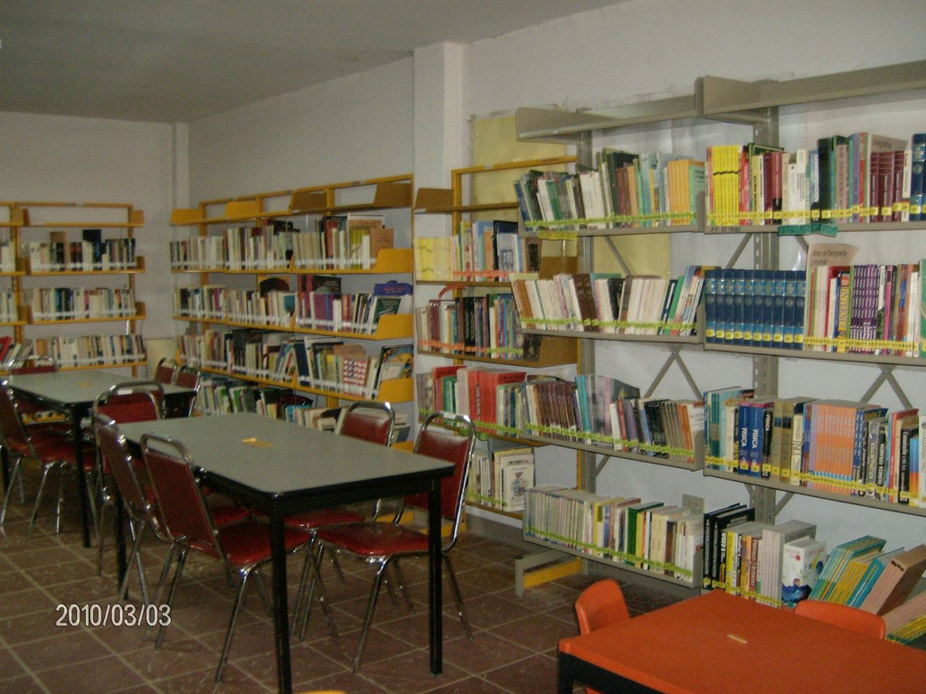 imagen3