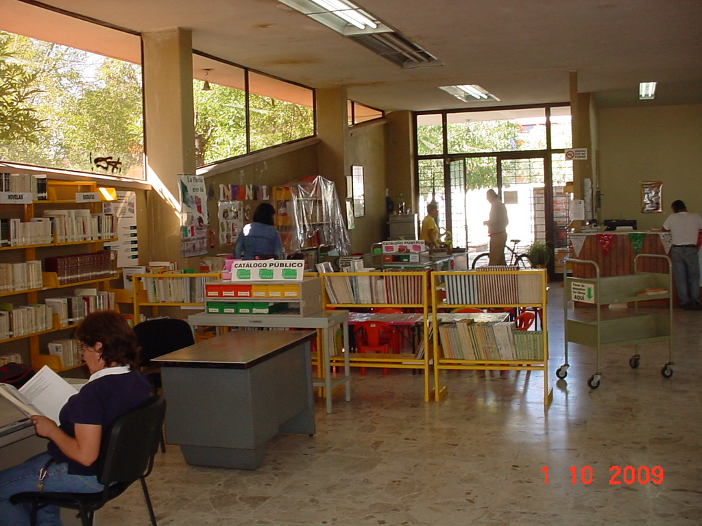 imagen3