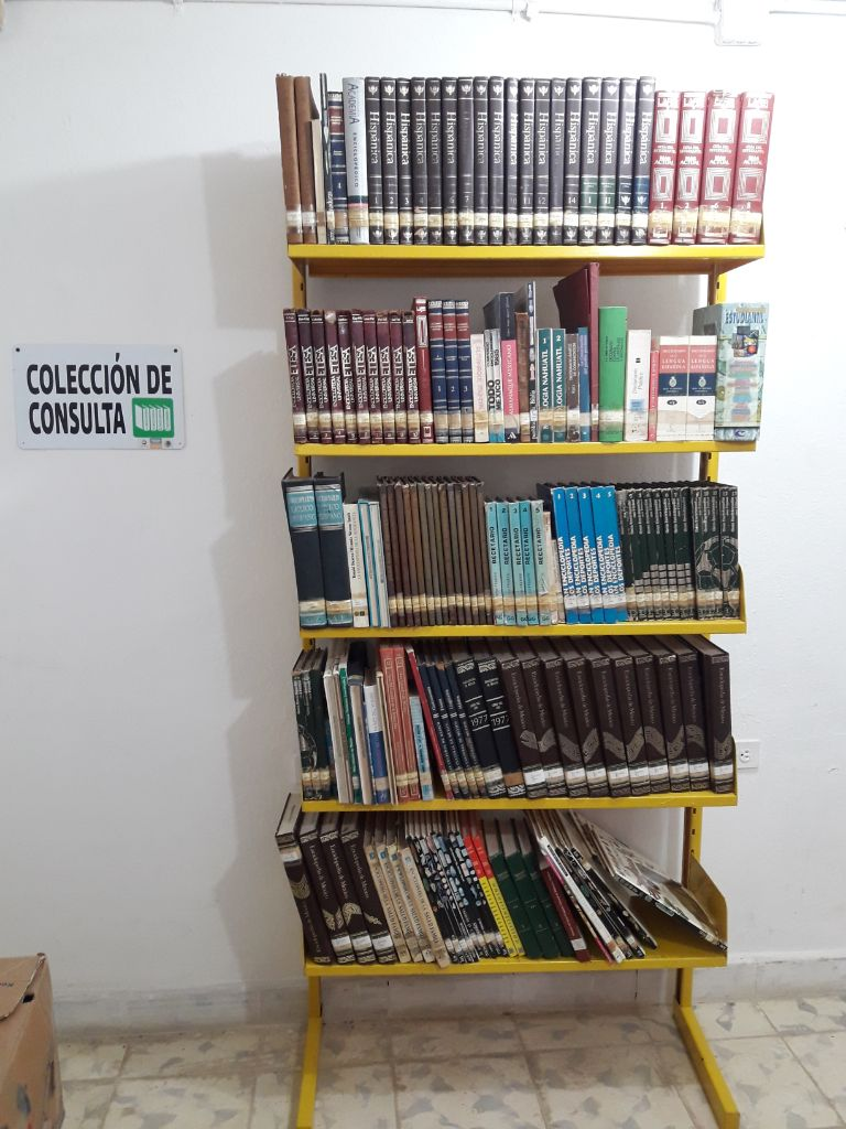 imagen1