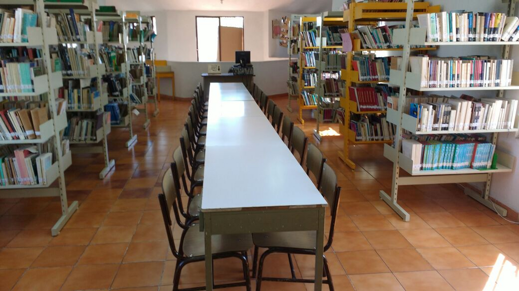 imagen1