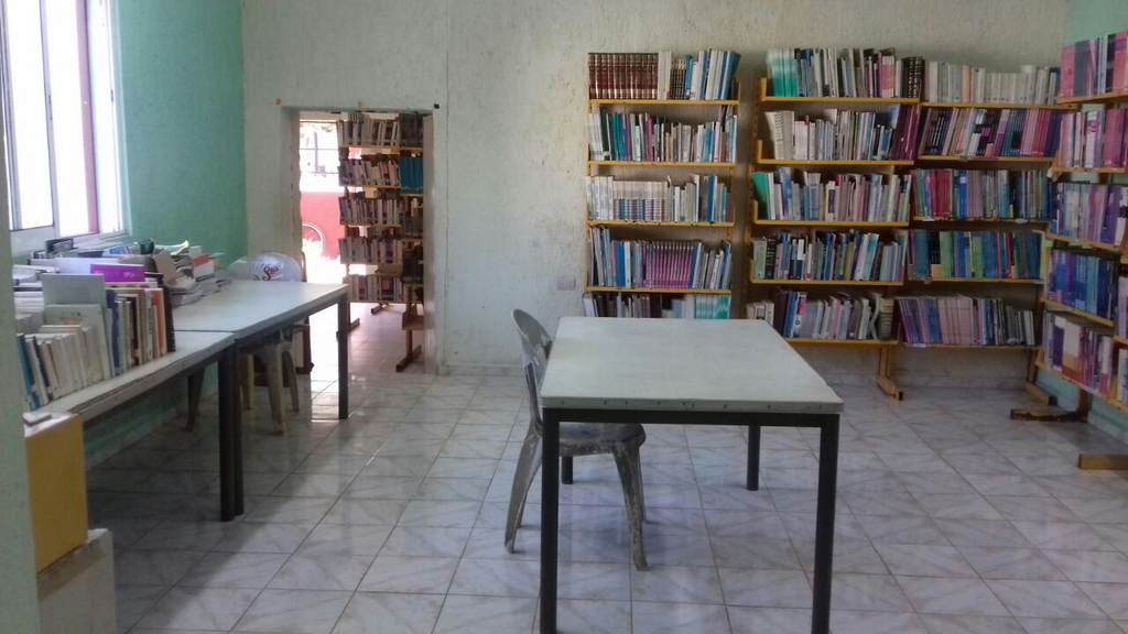 imagen3