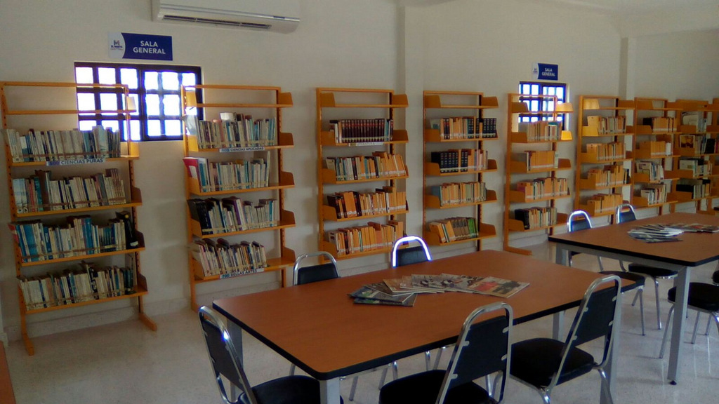 imagen3