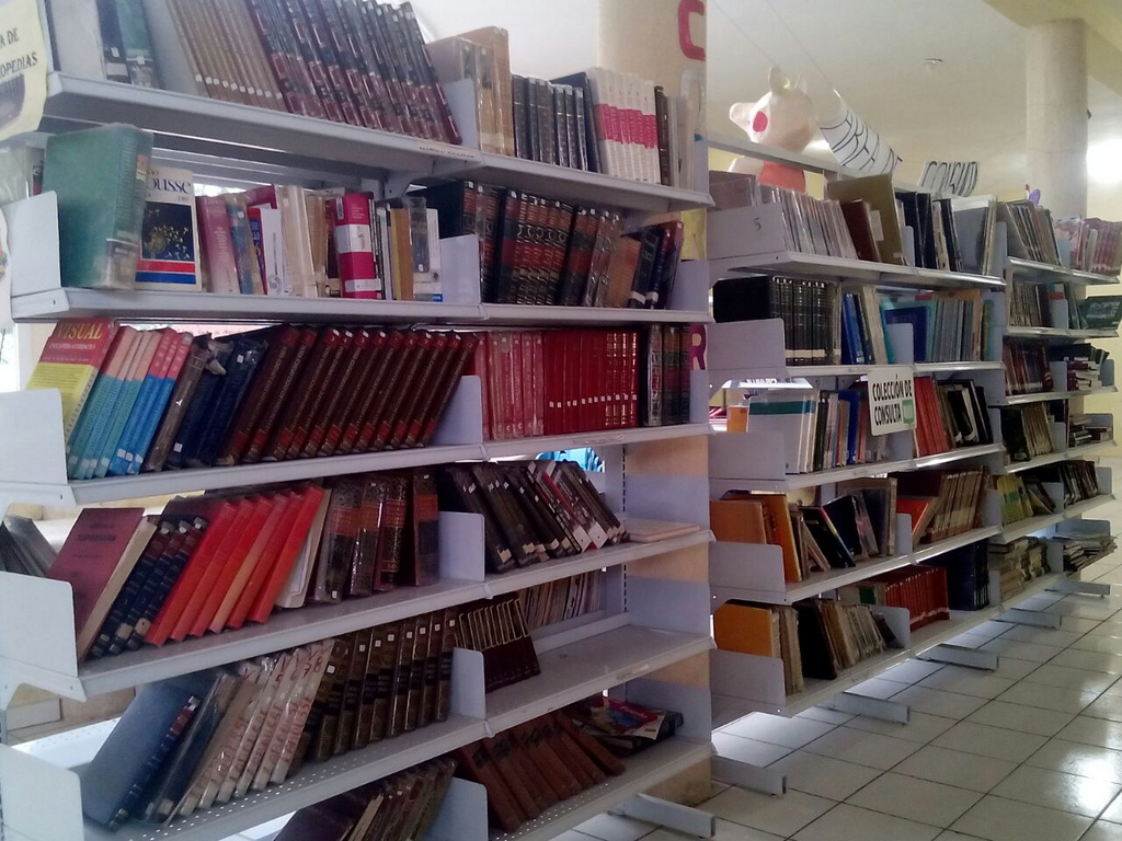 imagen1