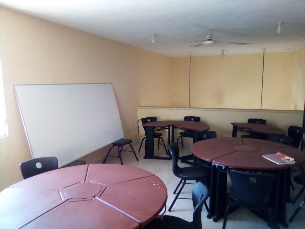 imagen3