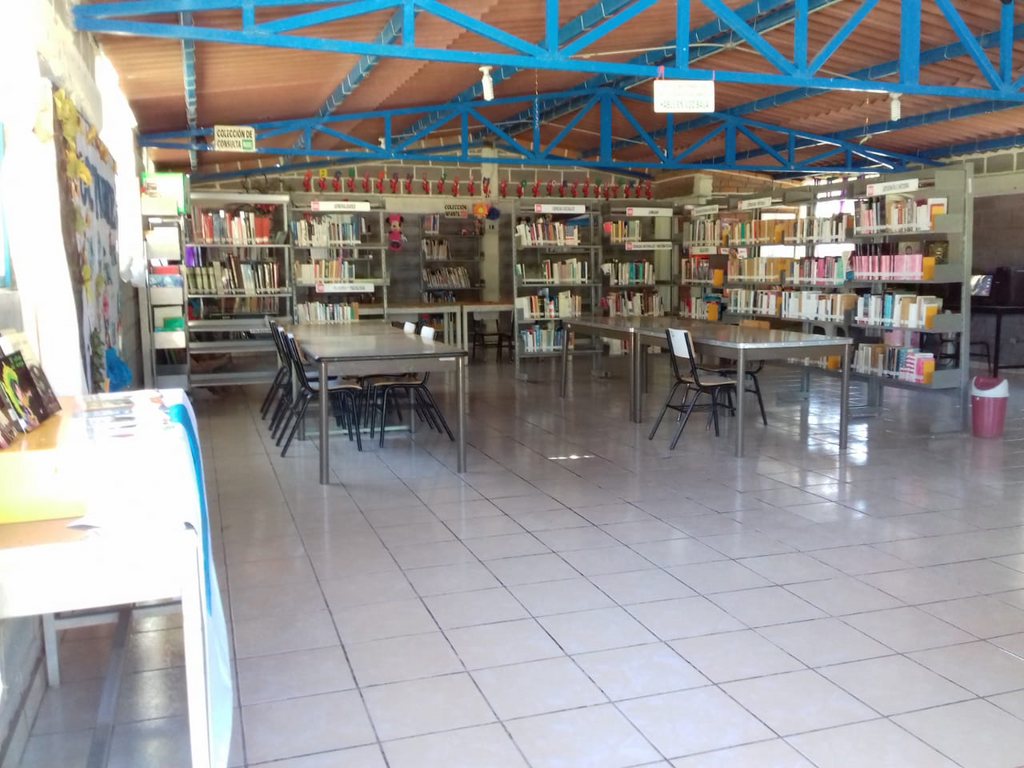 imagen1