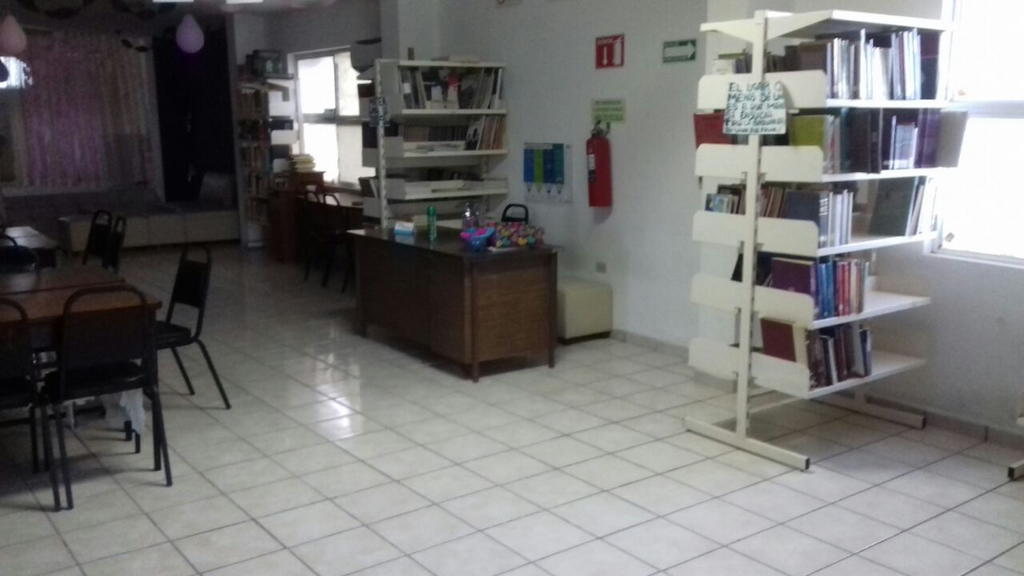 imagen1