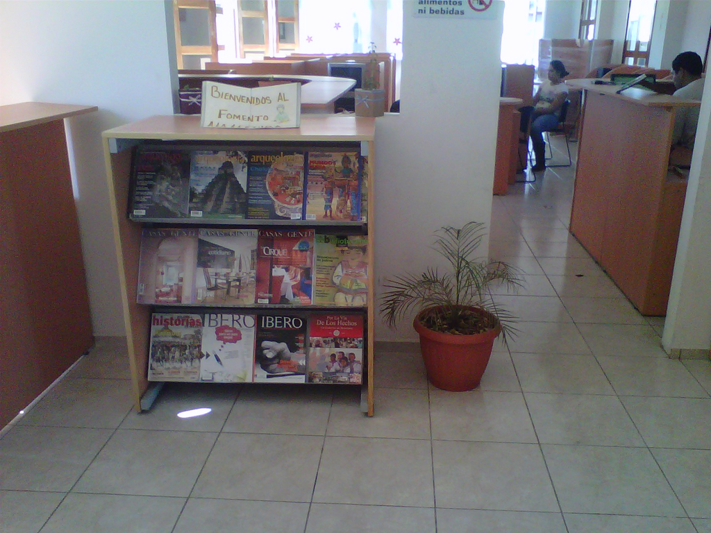 imagen1