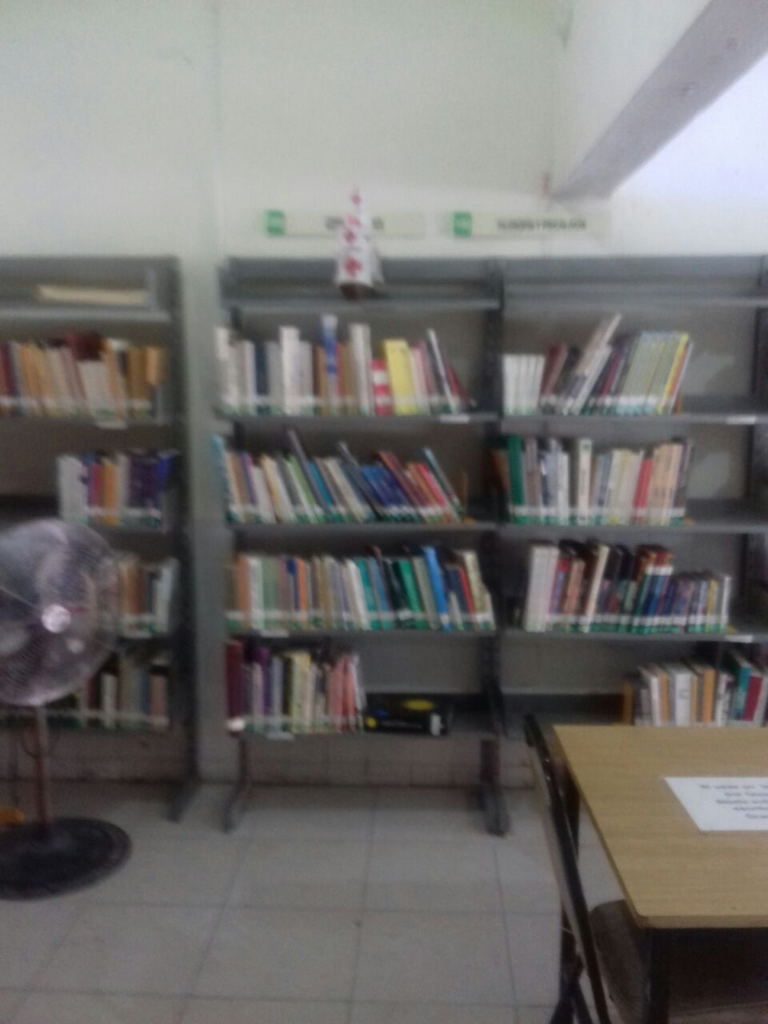 imagen3