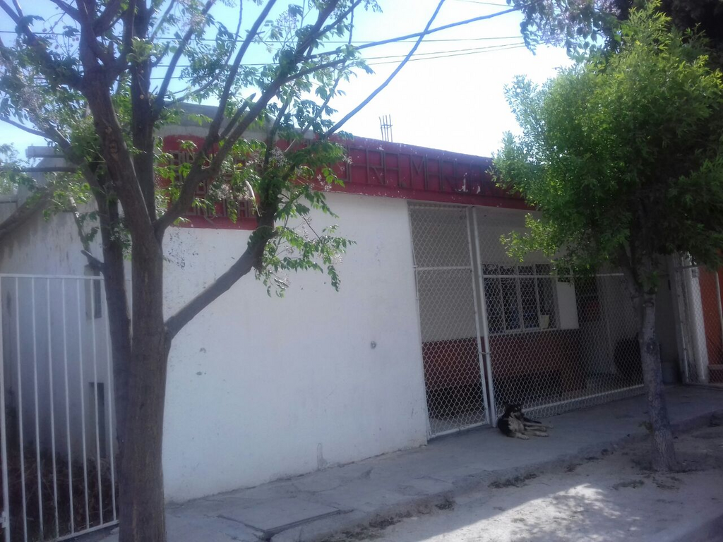 imagen1