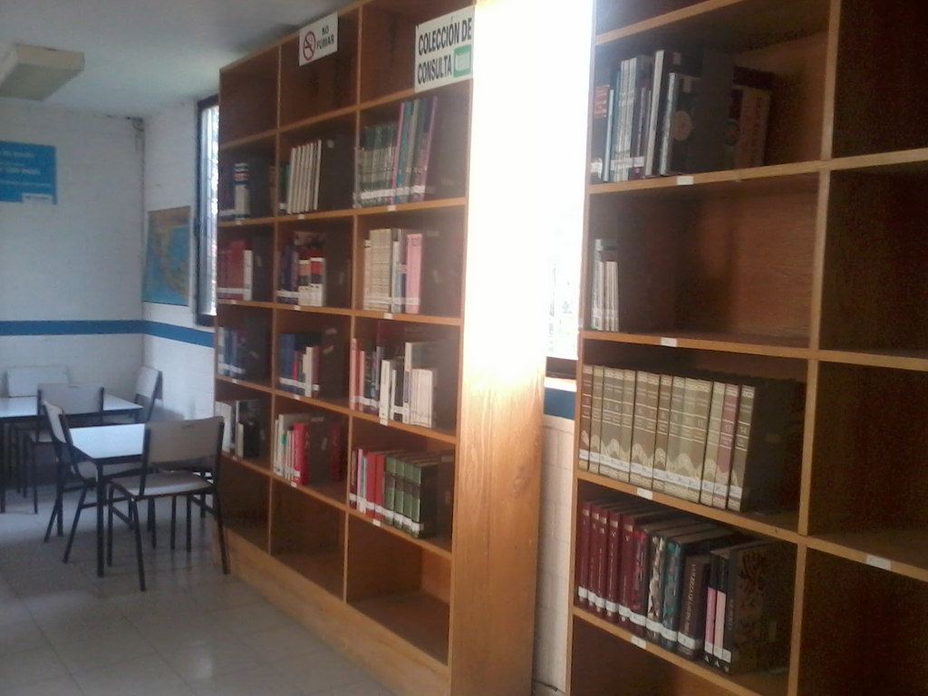 imagen3