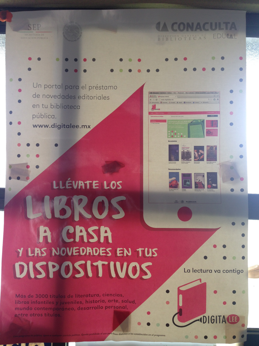 imagen2