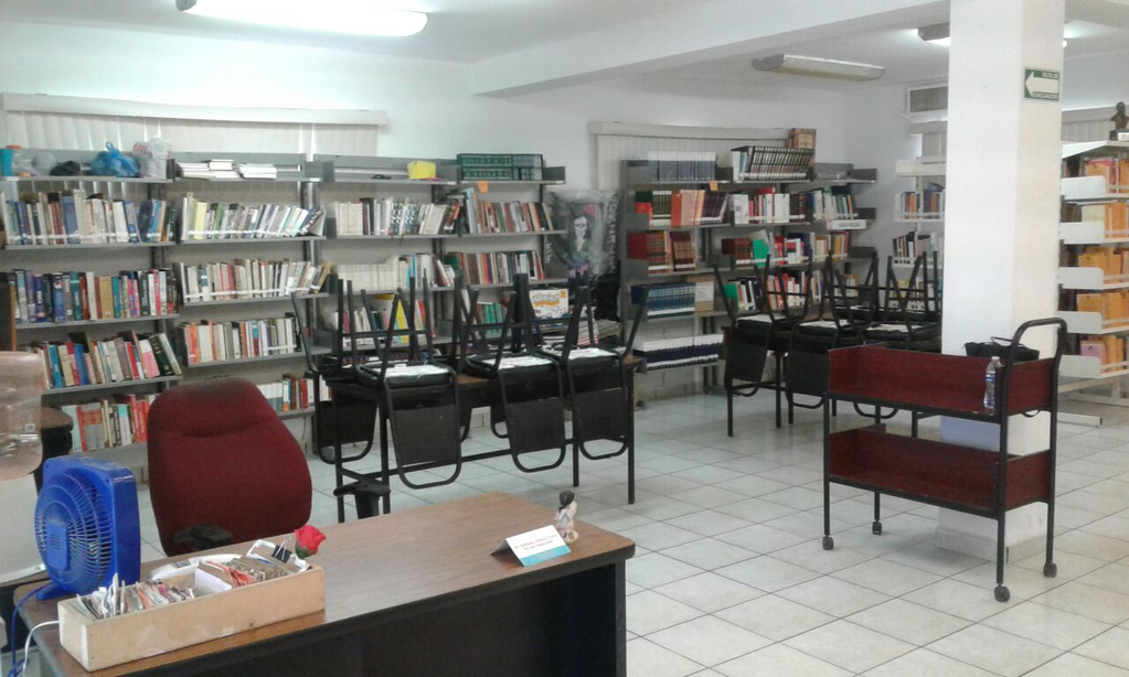 imagen1