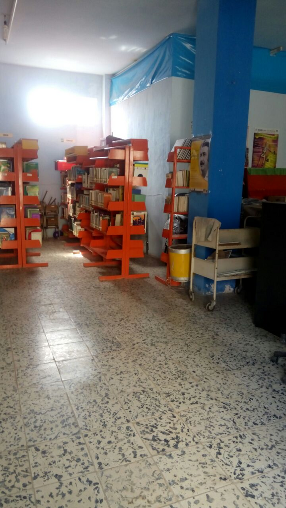 imagen2