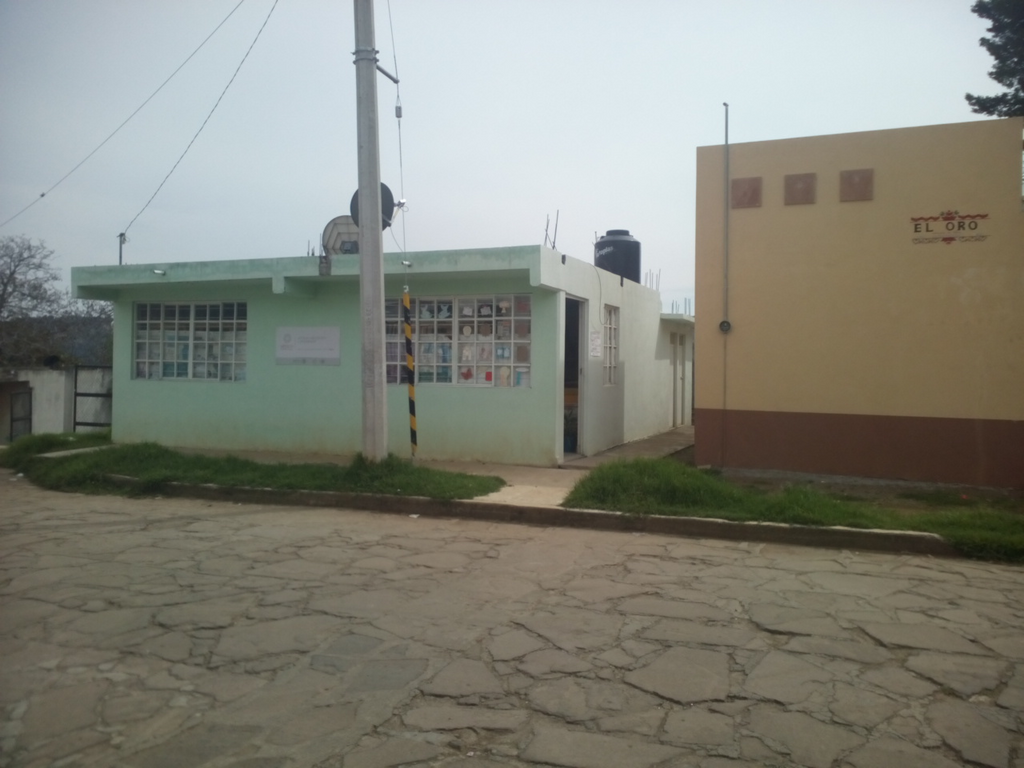 imagen3
