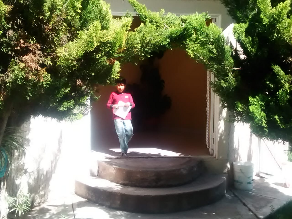 imagen2