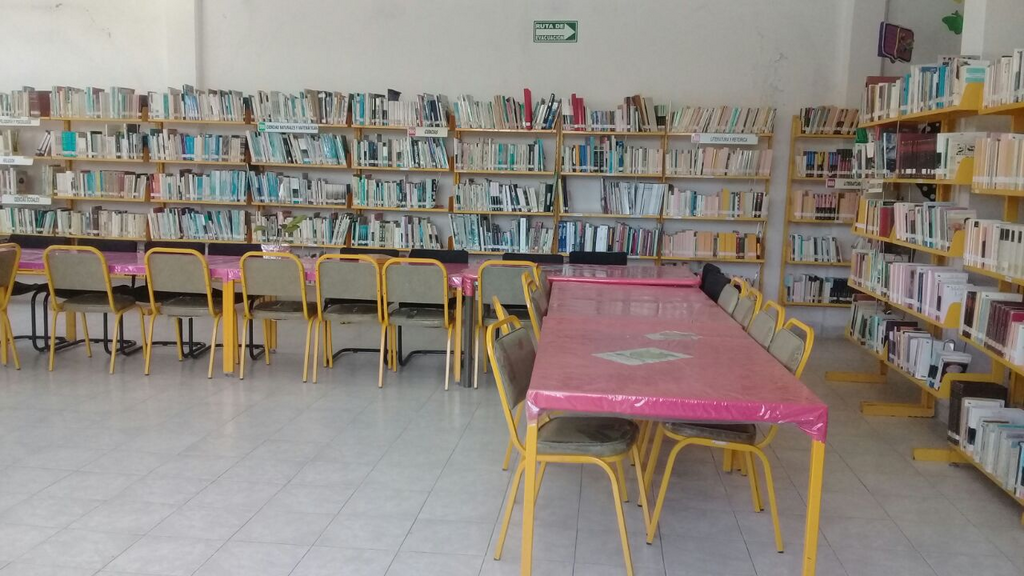 imagen2