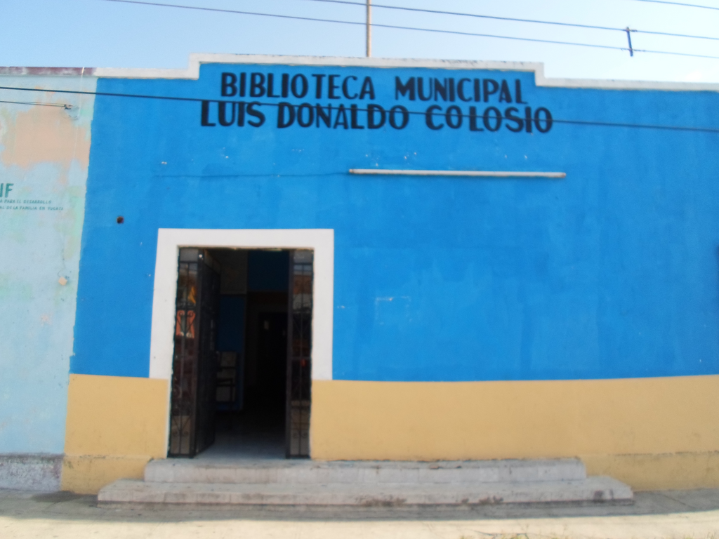 imagen1