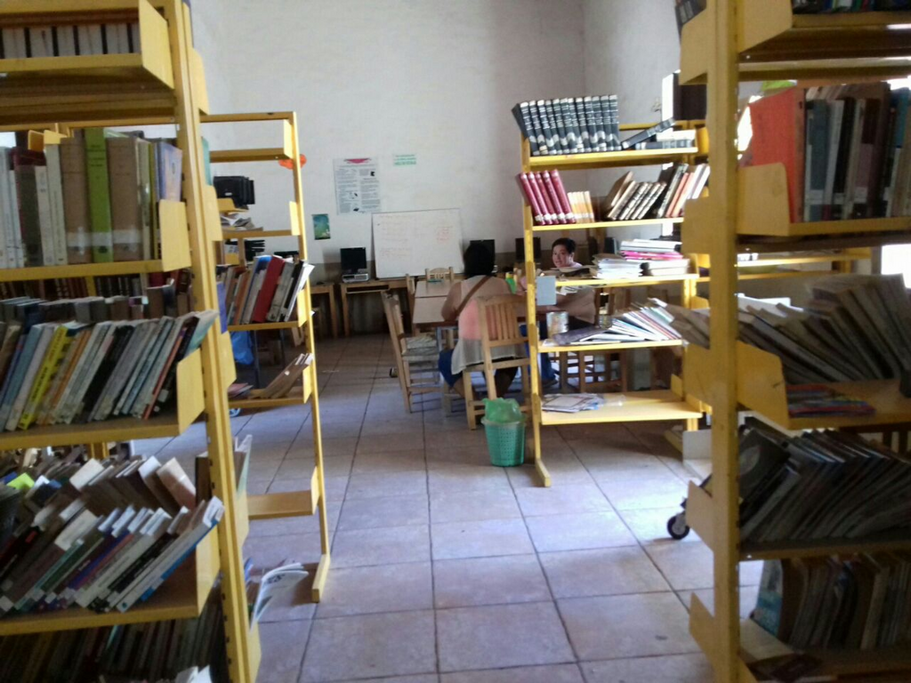 imagen1