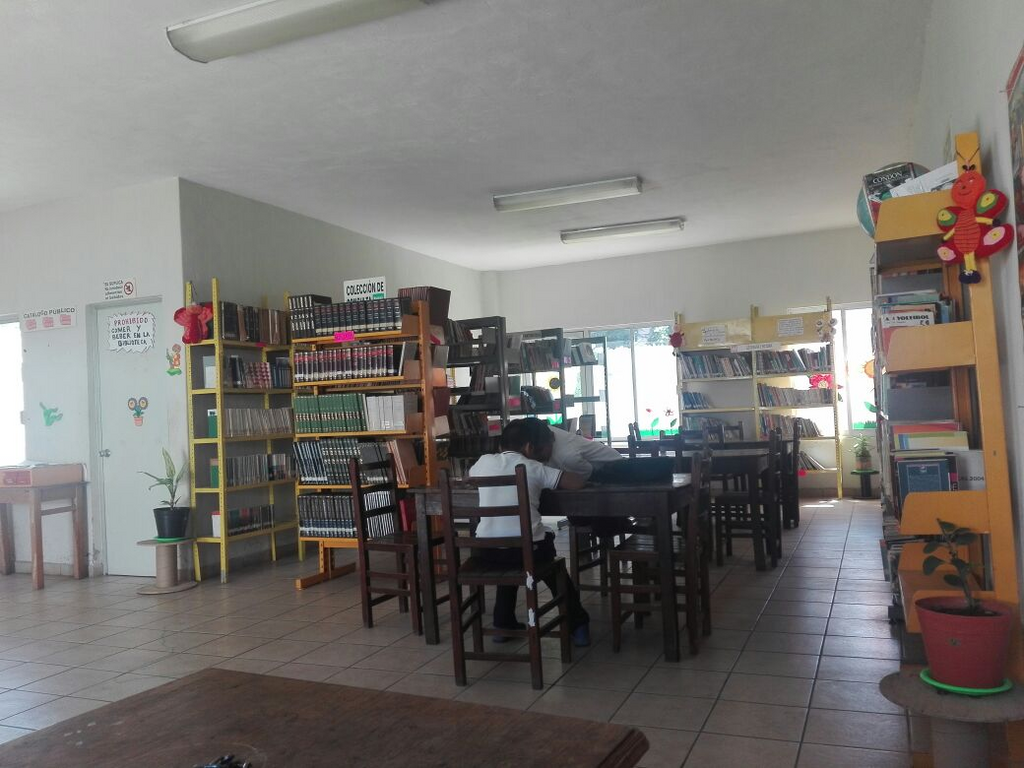 imagen2