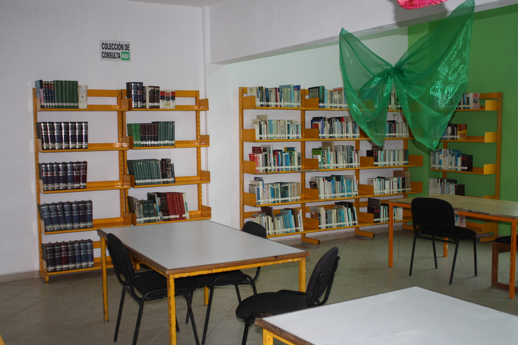 imagen1