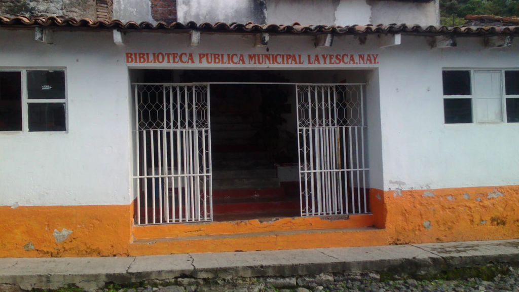 imagen1