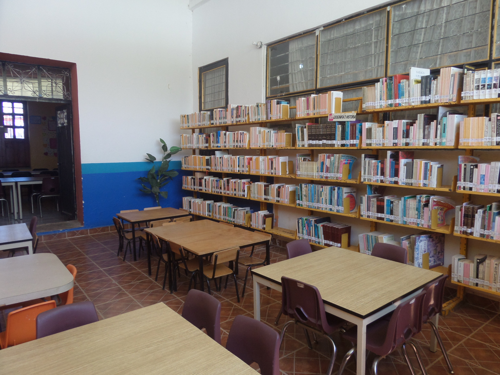 imagen3