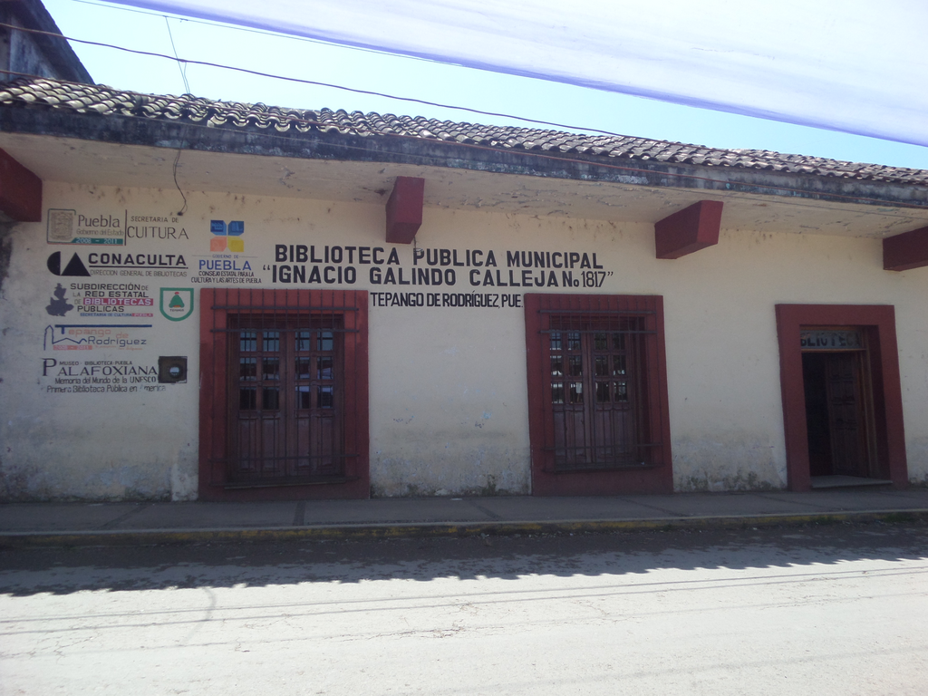imagen0