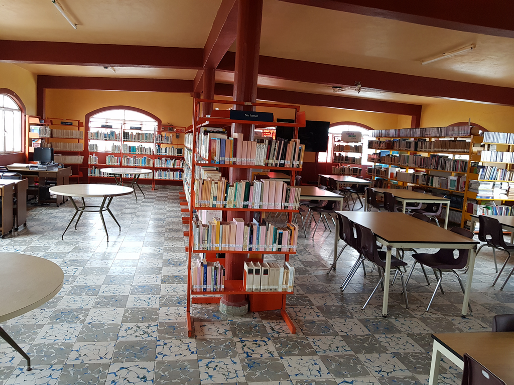 imagen3