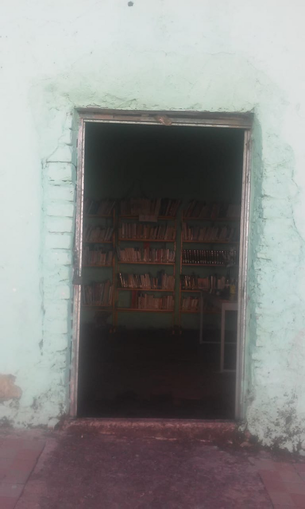 imagen1