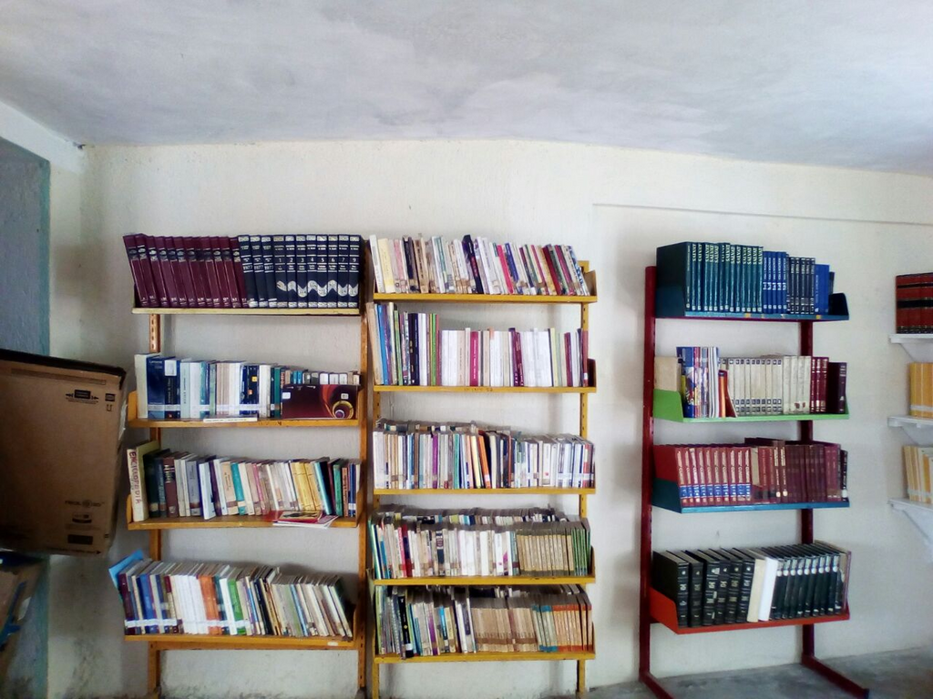 imagen2