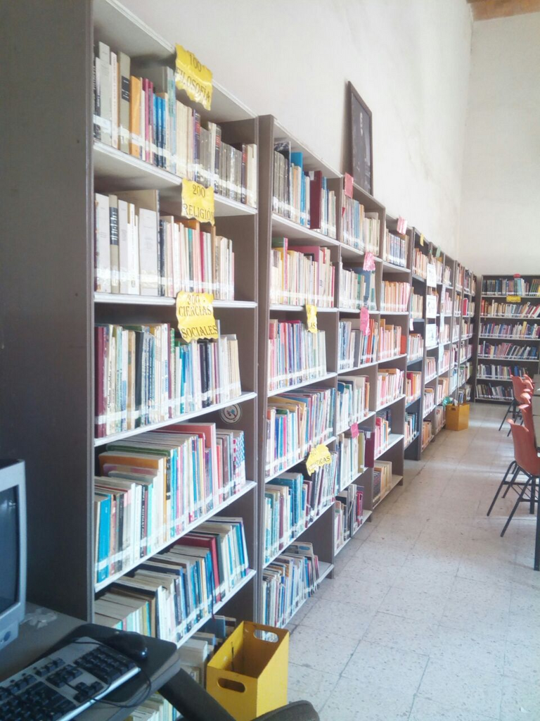 imagen1