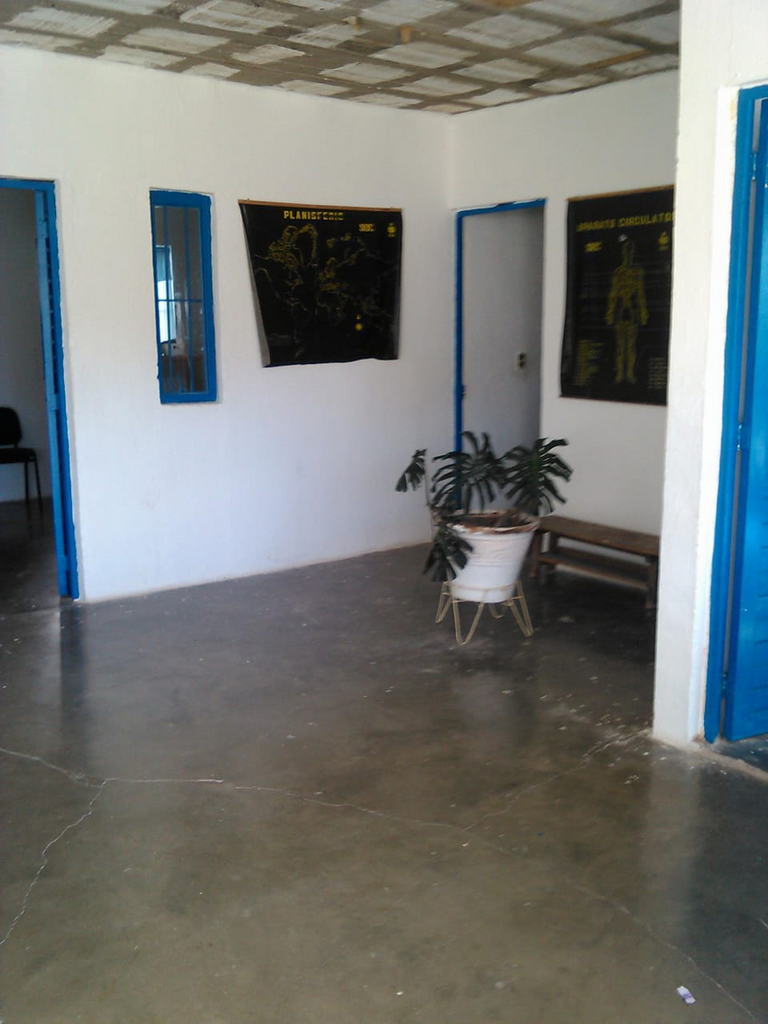 imagen1