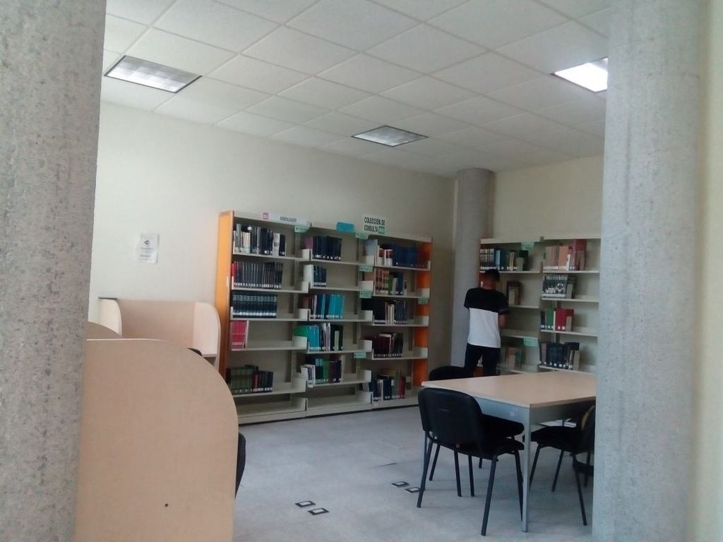imagen1