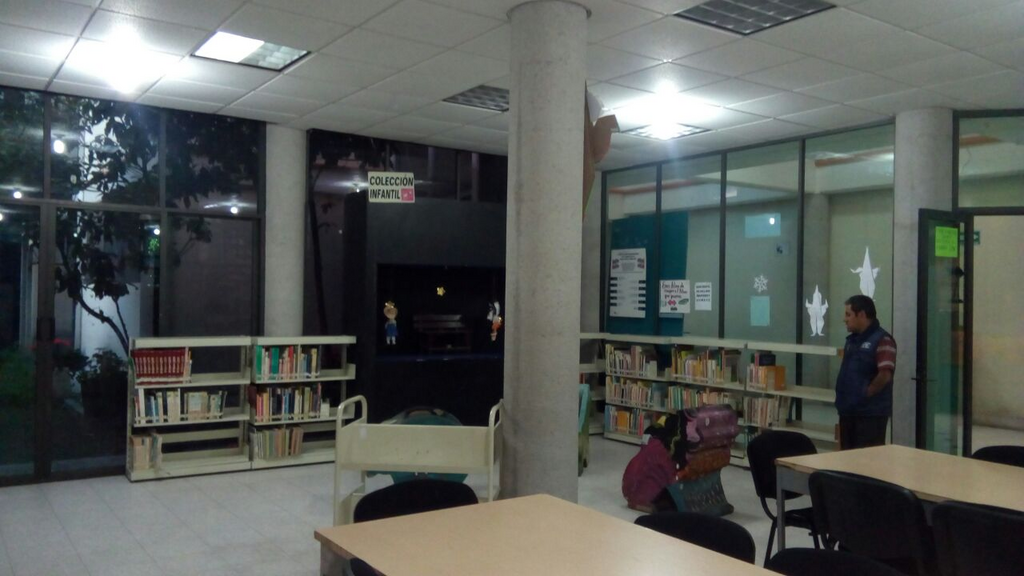 imagen1