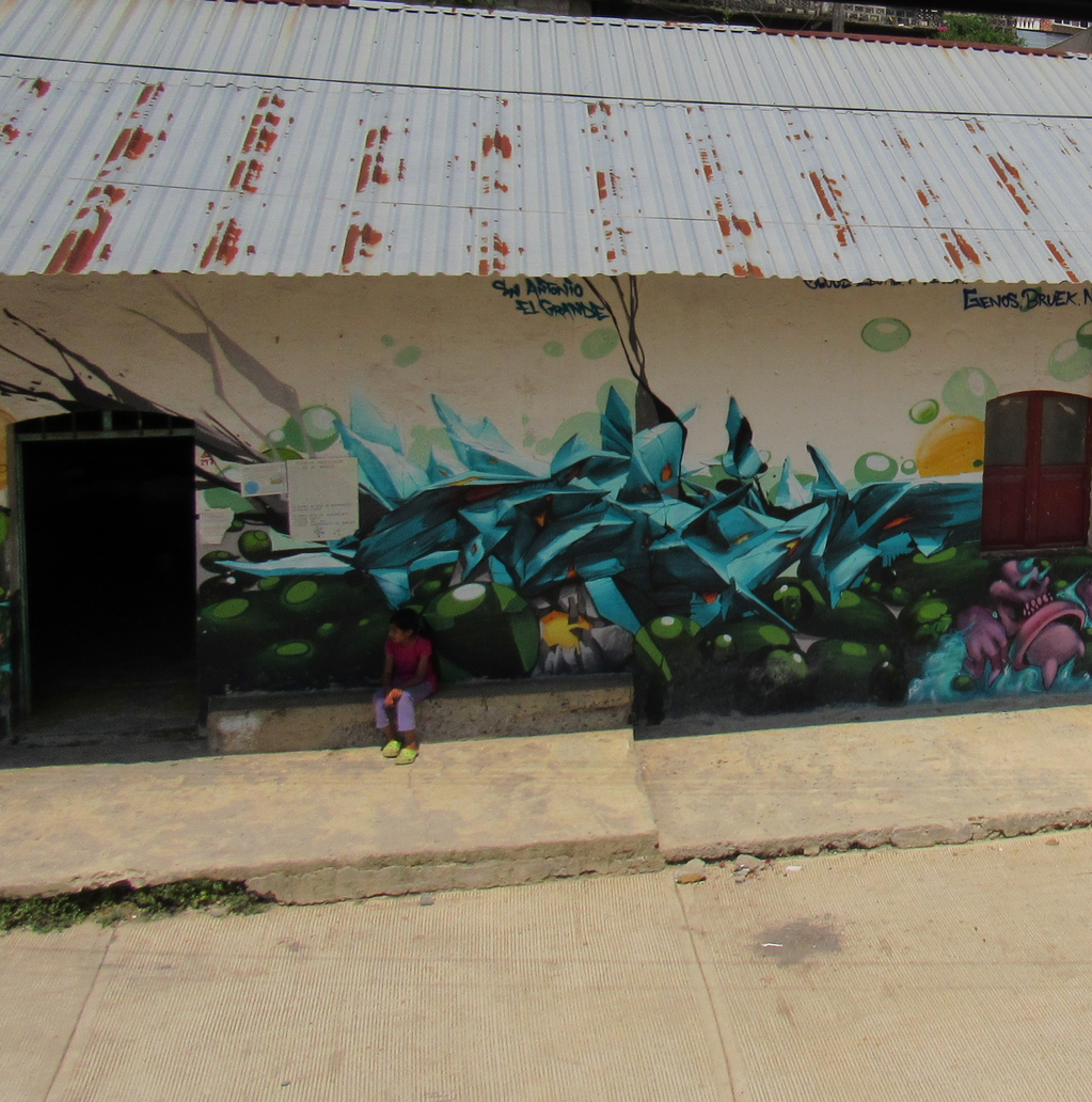 imagen1