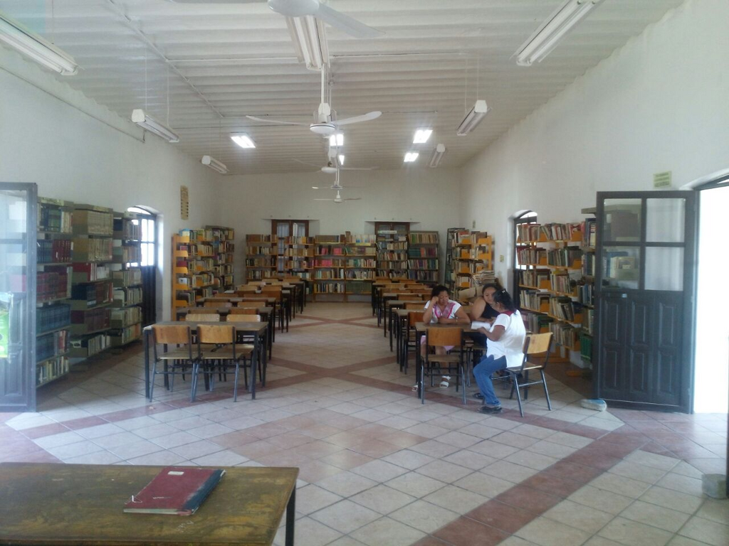 imagen1