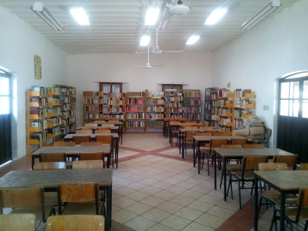imagen3