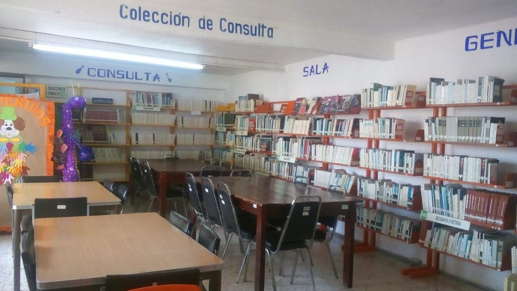imagen3