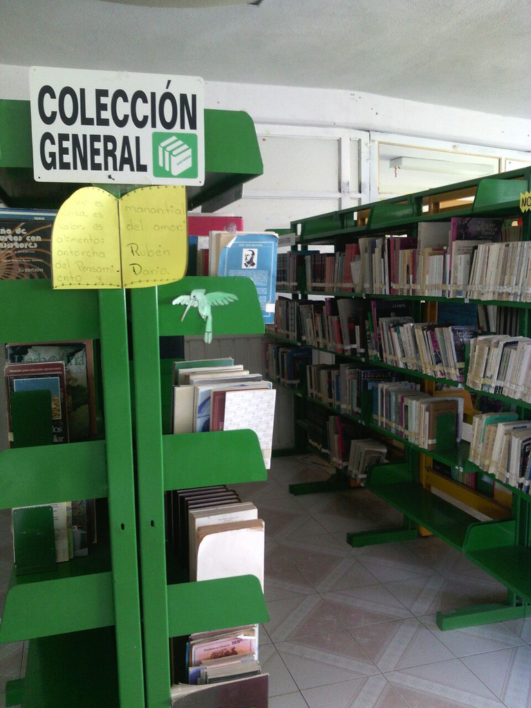 imagen1