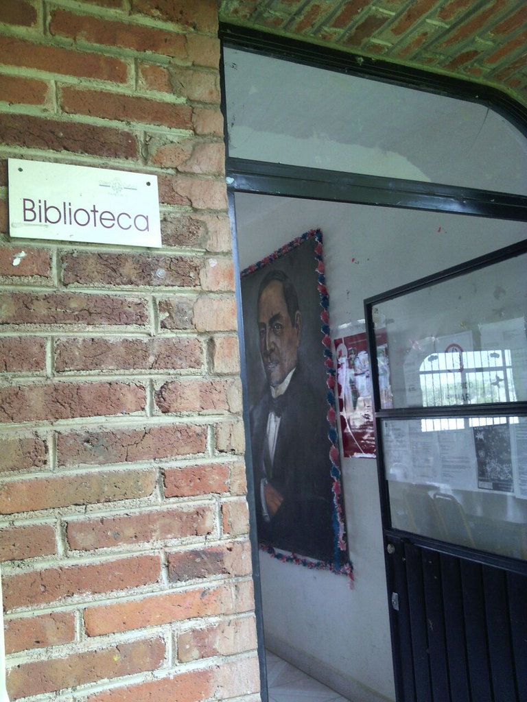 imagen3