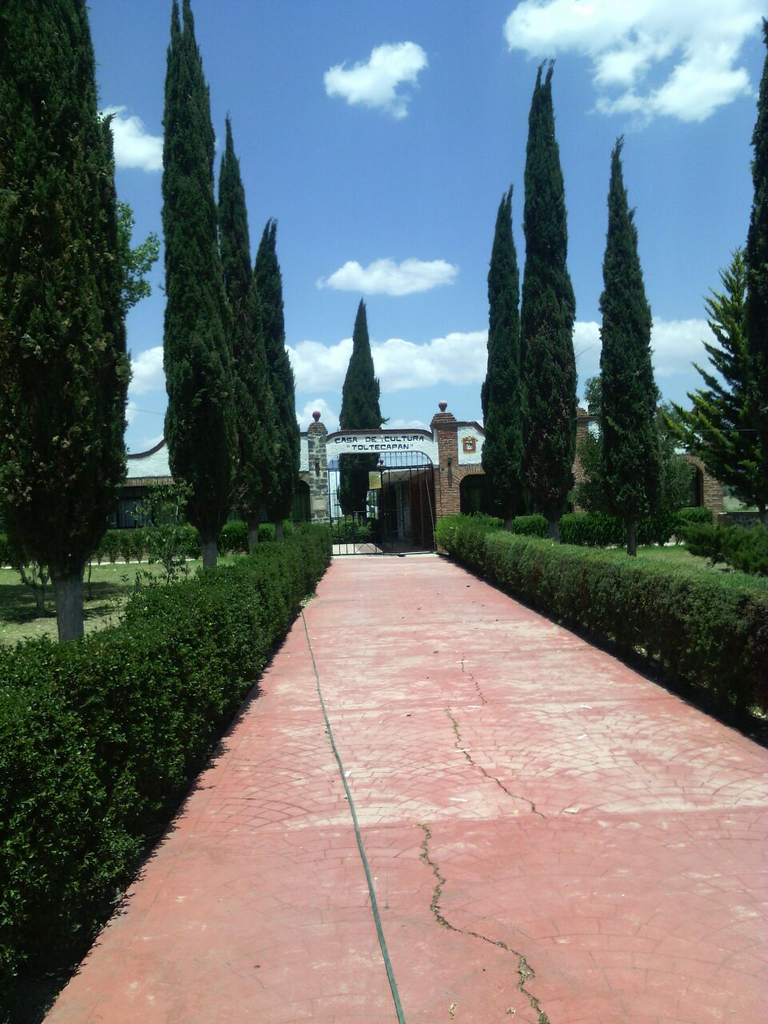 imagen2