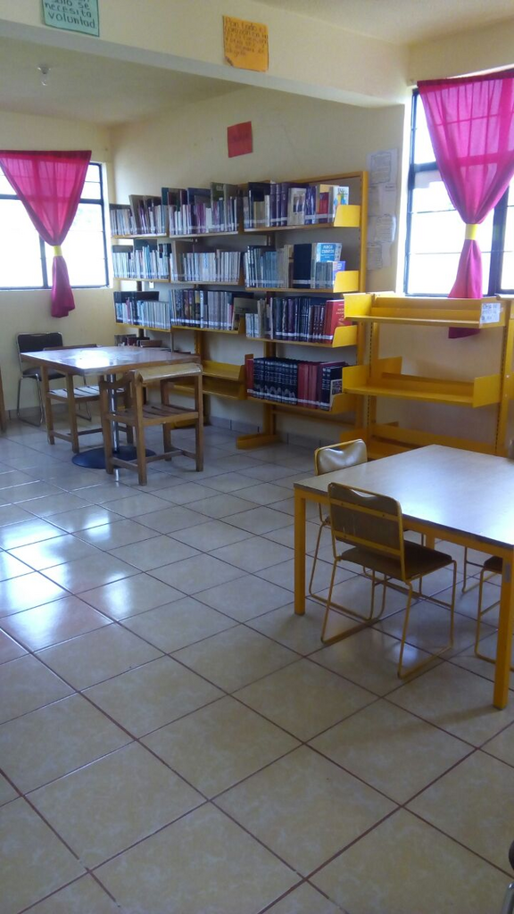 imagen1